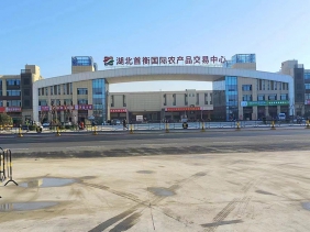 孝感首衡城智慧冷鏈物流A地塊、M地塊大門幕墻工程